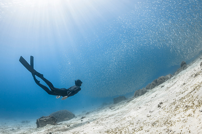 Spróbuj sportów wodnych, poznaj 8 rodzajów freedivingu