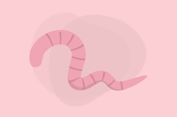 Gevaar, pinworms kunnen besmettelijk zijn