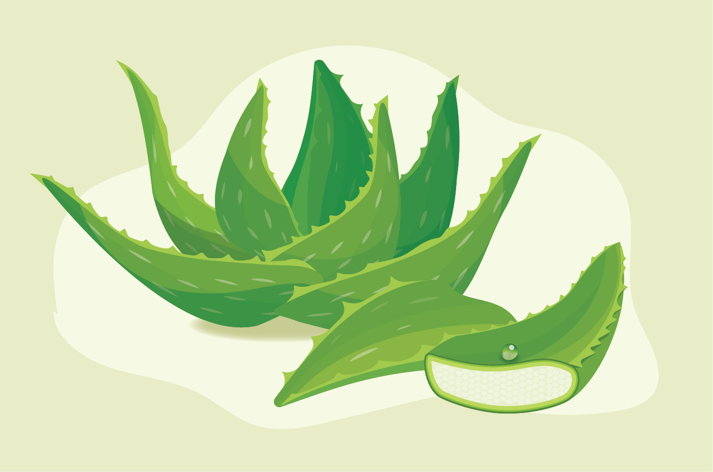 Aloe Vera kan vara ett botemedel mot tand- och tandköttssmärtor, här är fakta