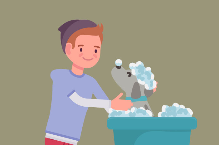 Quelle est la bonne façon de donner un bain à un chien ?
