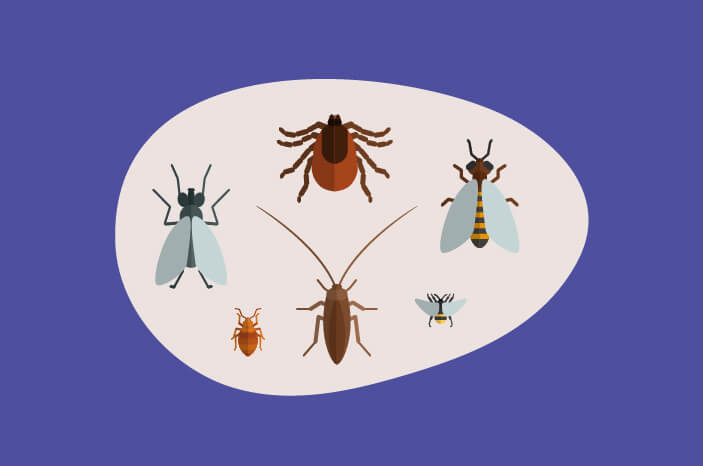 7 voedingsmiddelen die insectenbeten kunnen voorkomen