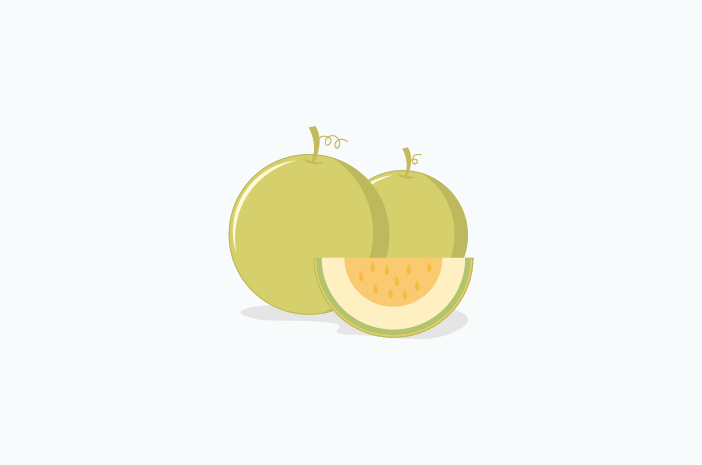 Raisons pour lesquelles le melon est bon pour bébé Menu MPASI