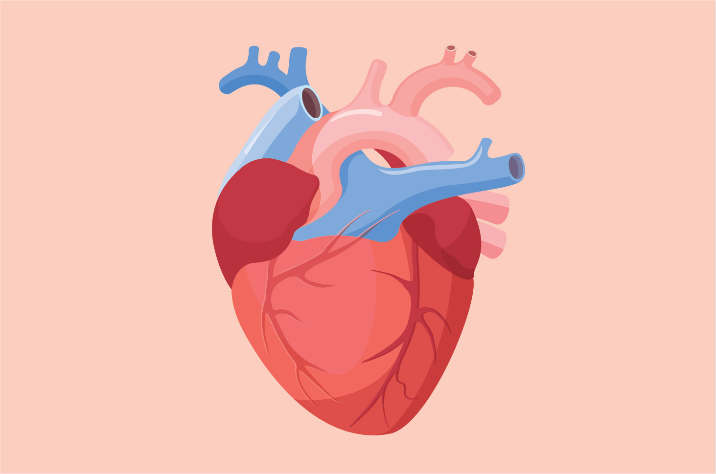 Причины, по которым болезнь сердца может вызвать инсульт