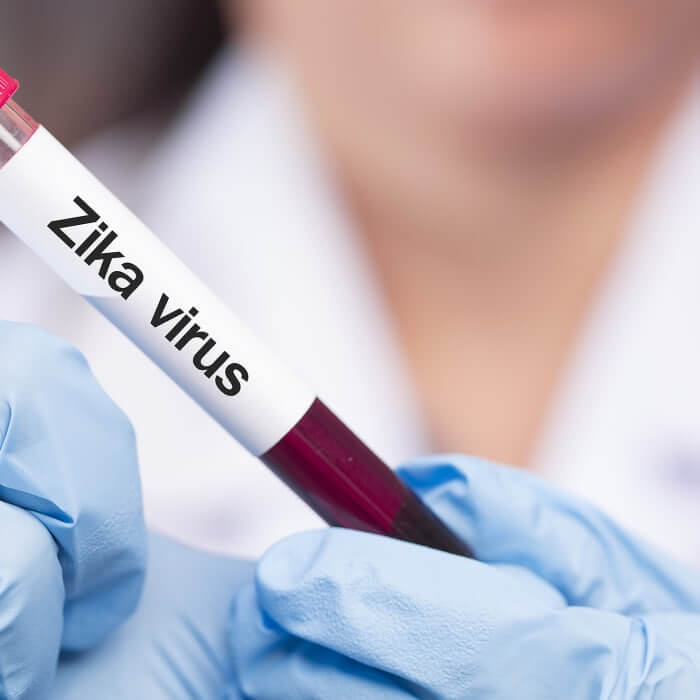 Wissen, wie das Zika-Virus übertragen wird