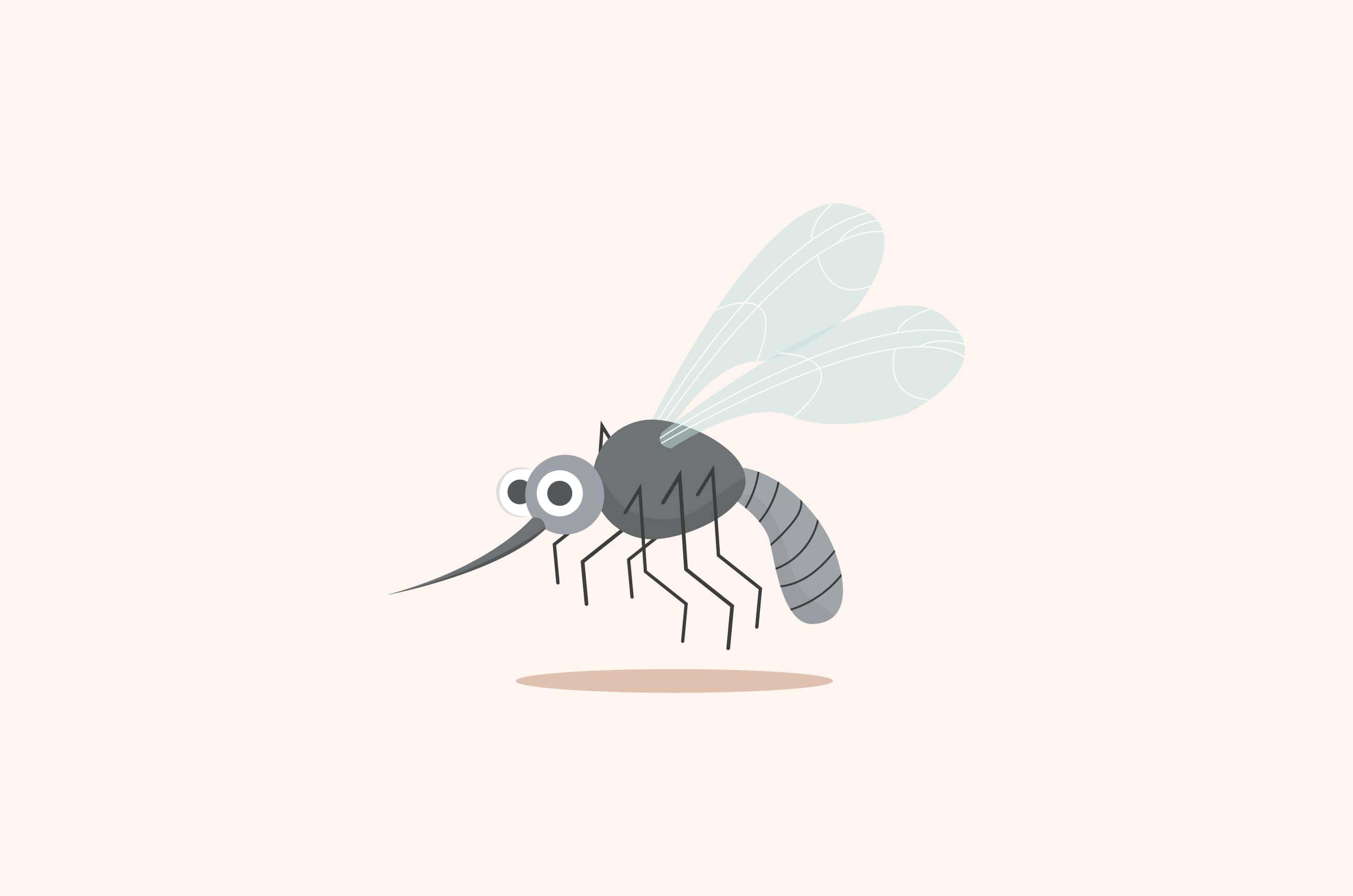 להלן עקיצות חרקים שכדאי להיזהר מהן