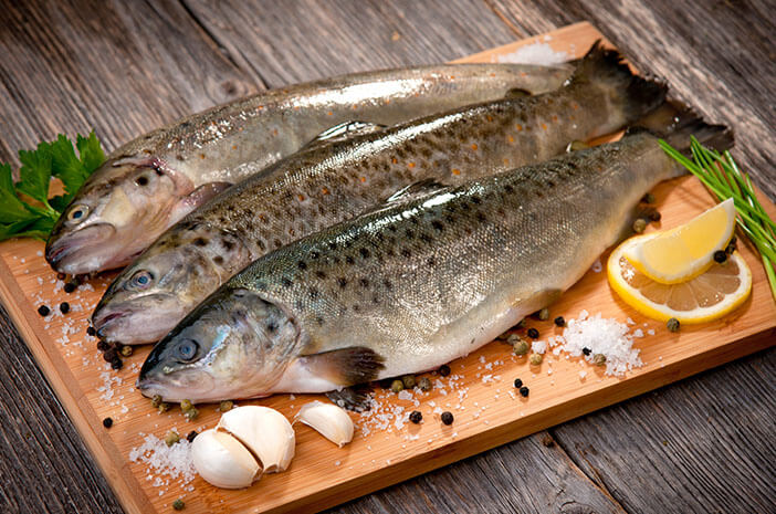 섭취 시 수은 중독 물고기의 위험