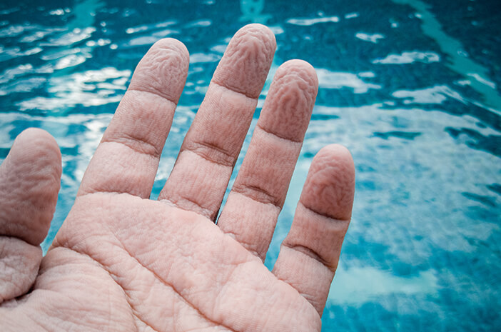너무 오래 수영하면 손가락이 오그라드는 이유는 무엇입니까?