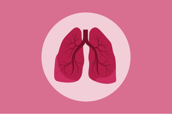 Conozca más sobre el papel de los especialistas en pulmón en medicina