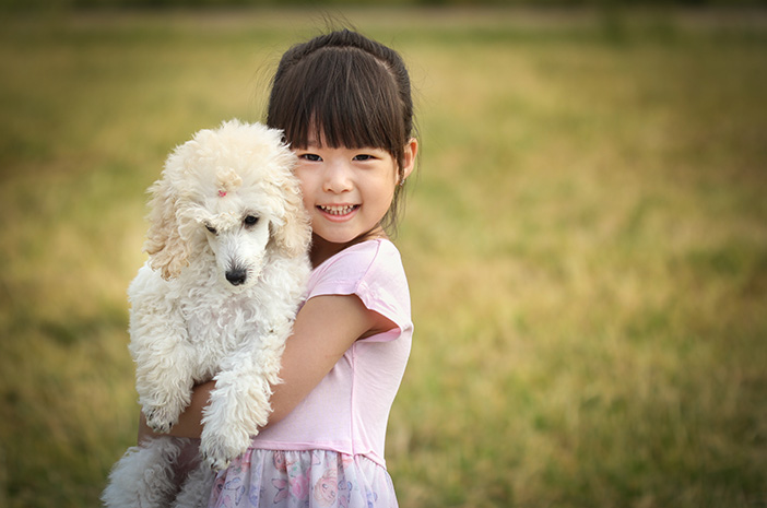 5 סוגי כלבים ידידותיים לילדים