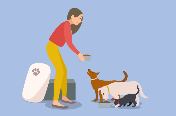 ¿Se puede dar comida para perros a los gatos?