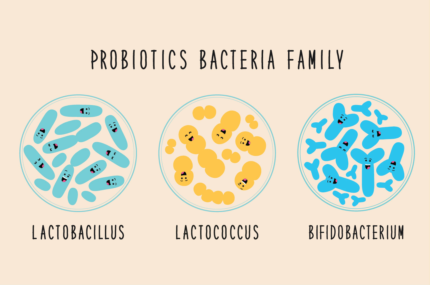 Les probiotiques Saccharomyces Boulardii peuvent traiter la diarrhée