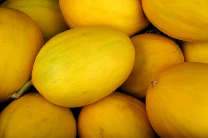 Conozca los 3 beneficios del melón cantalupo para el sistema digestivo