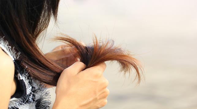 Productos químicos para champús que resecan el cabello