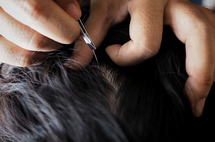Zapobiegaj wzrostowi siwych włosów dzięki tym 5 produktom