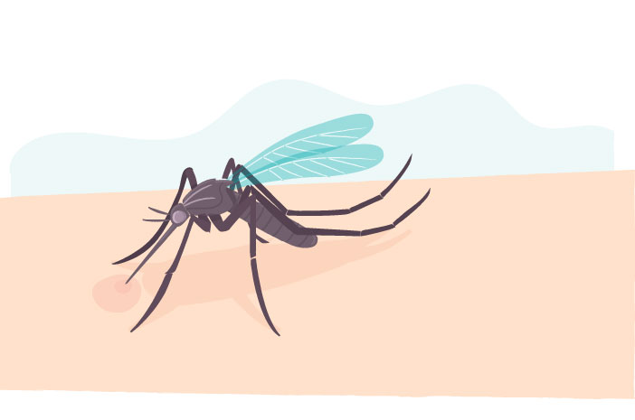 Mythe ou fait Les piqûres d'insectes déclenchent des réactions anaphylactiques