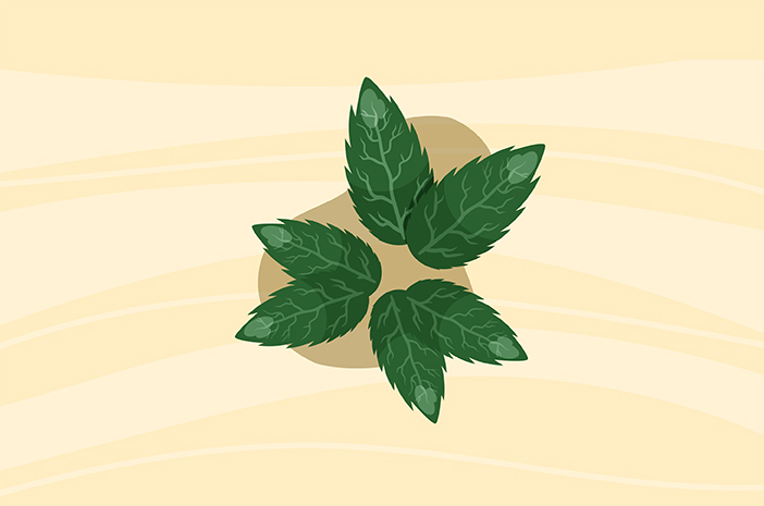 민트 잎은 체중 감량에 정말 효과적입니까?