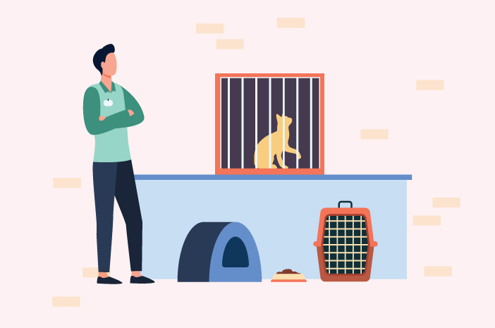 Voici les 5 meilleures cages pour chats de compagnie