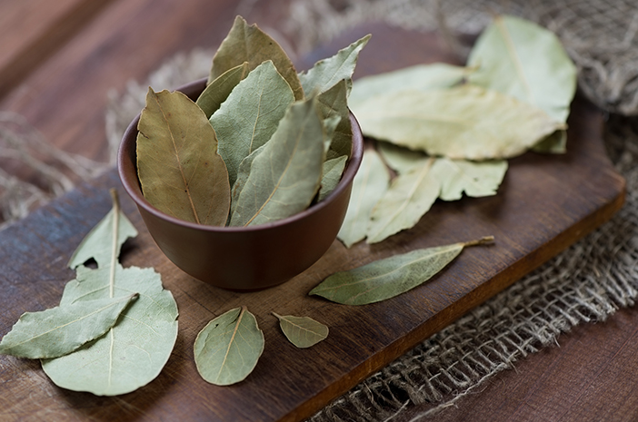 Cómo procesar hojas de laurel que son buenas para la salud
