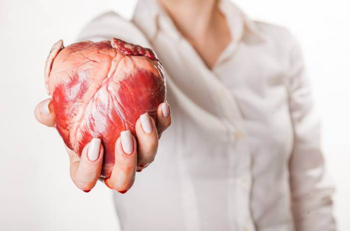 이것은 심장 마비와 죽상 동맥 경화증의 관계입니다